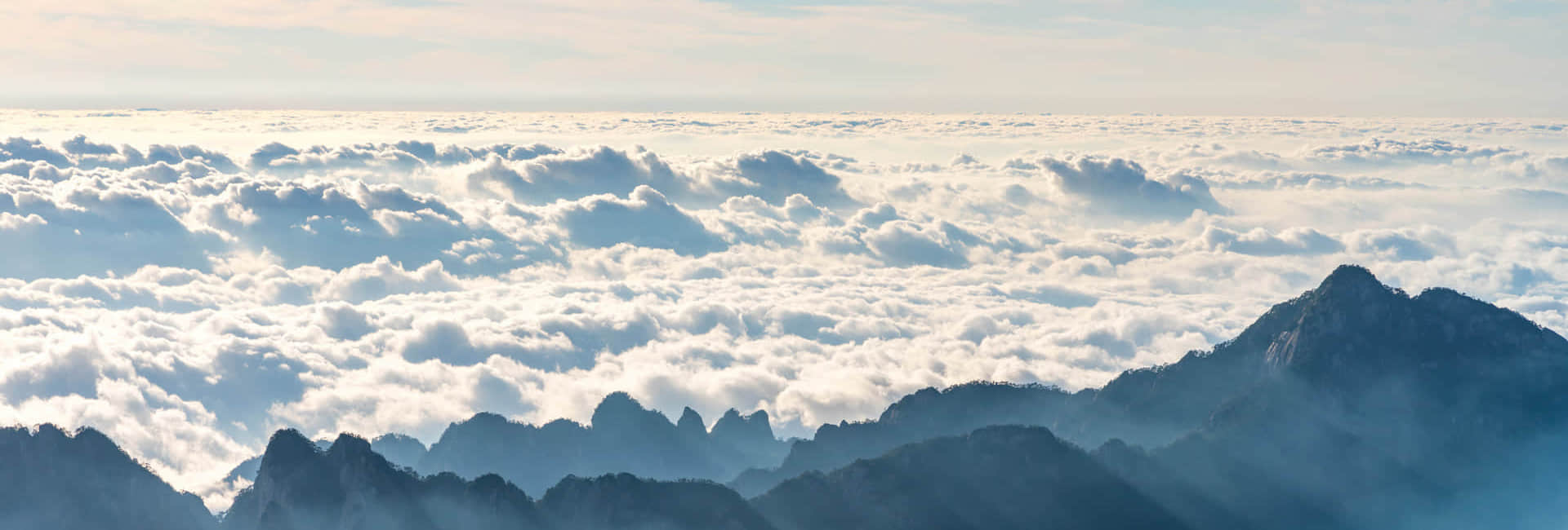 万搏官方在线入口简介